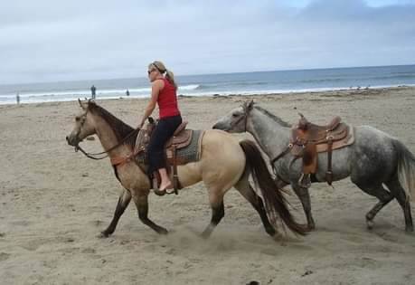 Kate riding a horse on a beach