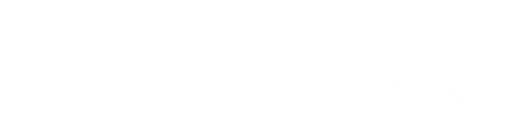 Performance Physical Therapy Logo