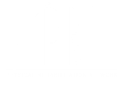 PRN Physical Therapy Logo